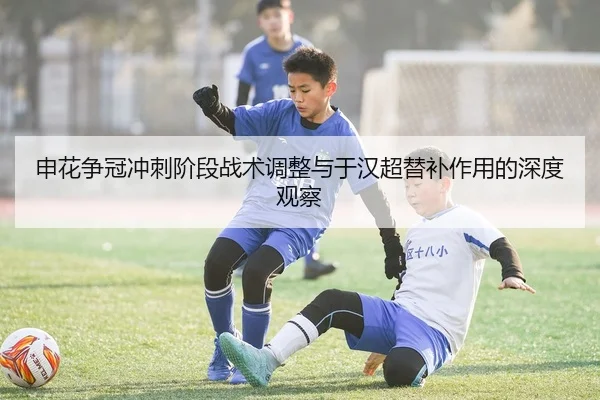 申花争冠冲刺阶段战术调整与于汉超替补作用的深度观察